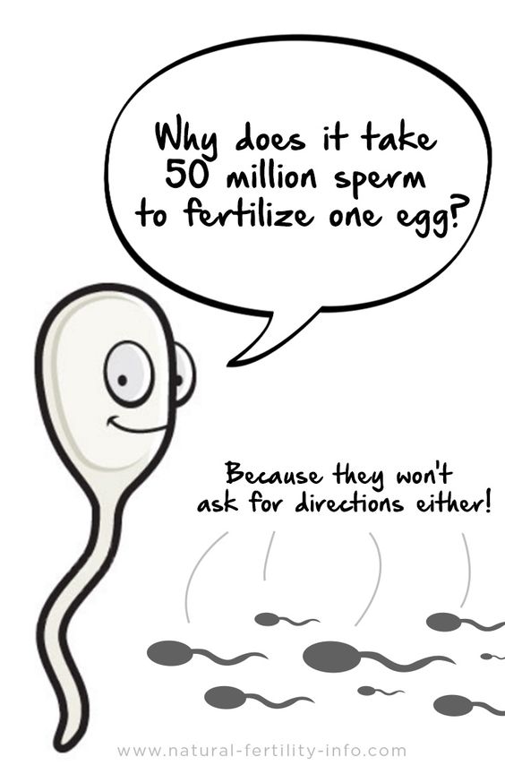 sperm